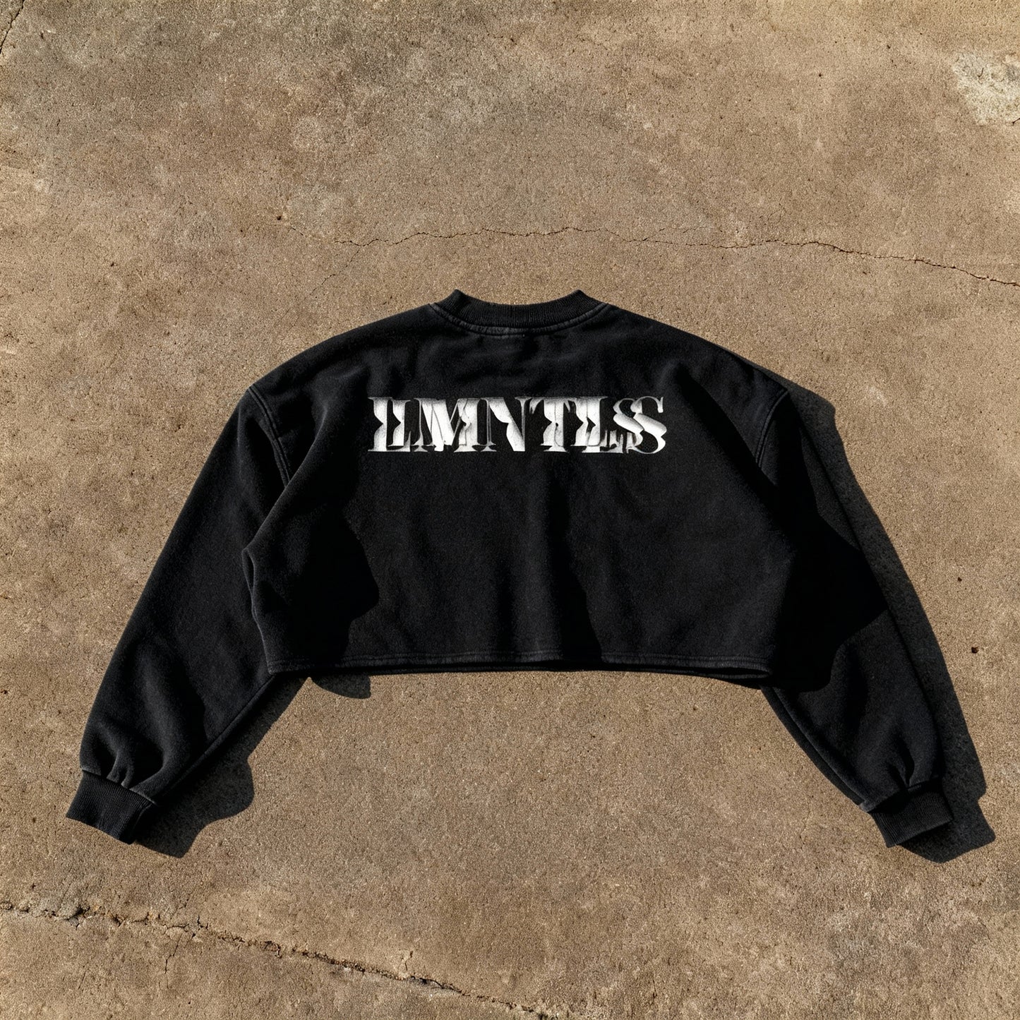 PNB Crop Sweatshirt LMNTLS Collection